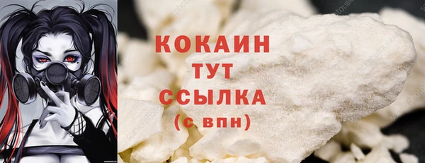шишки Аркадак