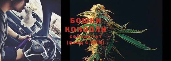 шишки Аркадак