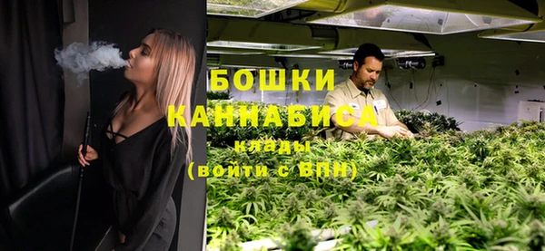 шишки Аркадак