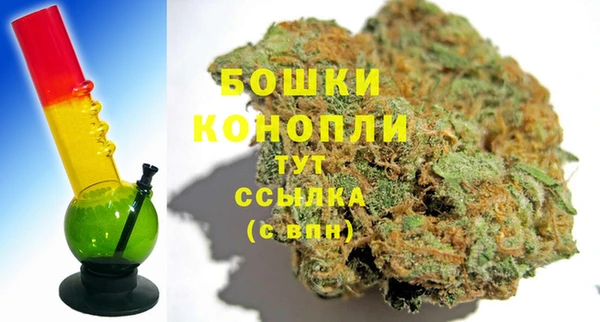 шишки Аркадак