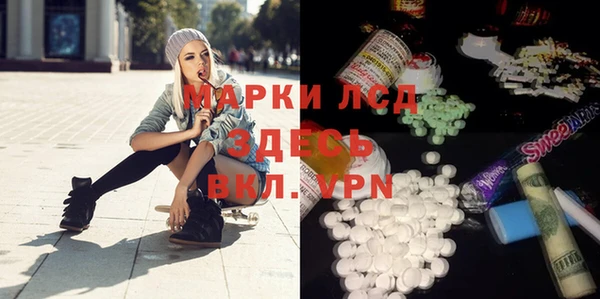 шишки Аркадак