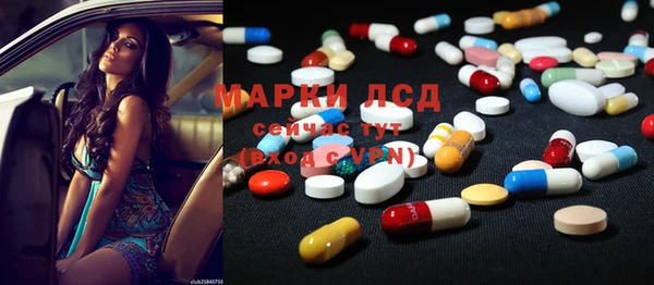 индика Армянск