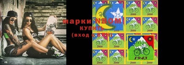 стаф Алзамай