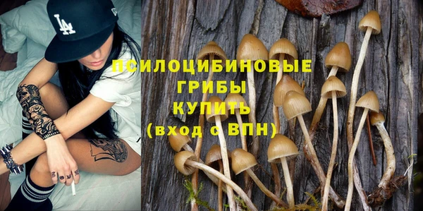 шишки Аркадак