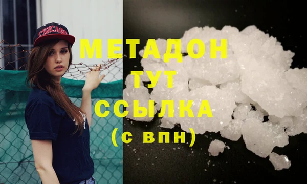 стаф Алзамай